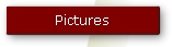 Pictures